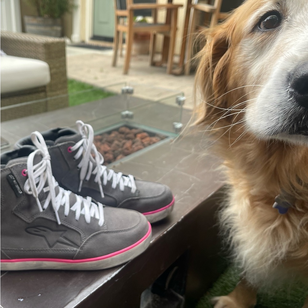 Alpinestars women’s riding shoes. Worn 3 times.